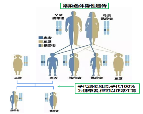 代生宝宝，孕早期垂体泌乳素偏高，停用溴隐亭会影响胎儿发育吗？